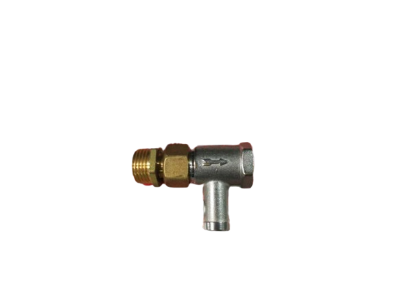 Valvula Seguridad Immergas Caesar Acs
