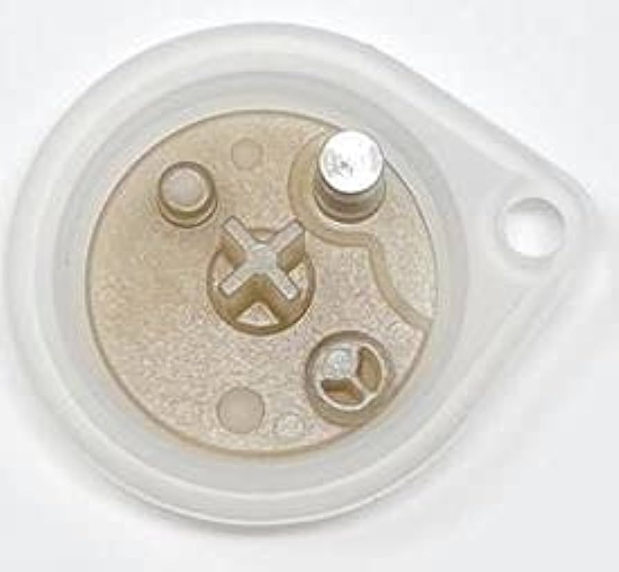 Membrana Junkers (A) oval