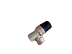 [1.039033] Valvula Seguridad Immergas Audax Top 6-8-12-16 Erp